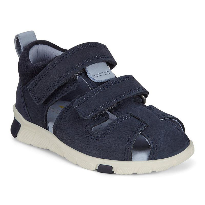 Kids ECCO MINI STRIDE SANDAL - Sandals Blue - India ZFDOHS158